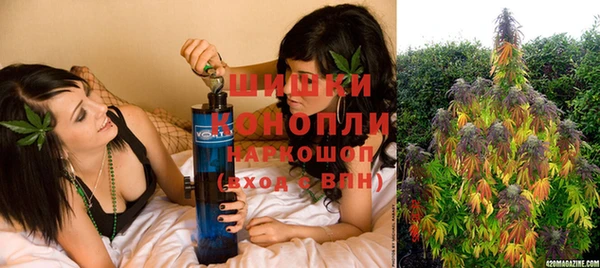 молекула духа Михайлов