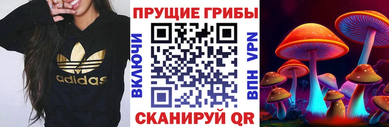 Галлюциногенные грибы прущие грибы  darknet клад  Калач 